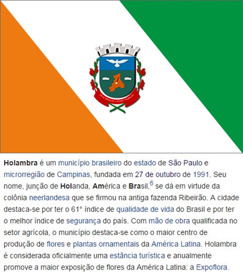 Bandeira_de_Holambra-vert