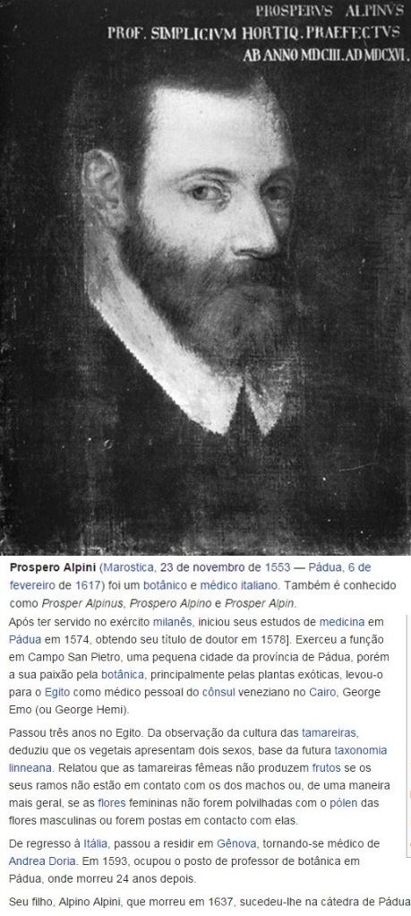 Alpino-Portrait-1616-vert