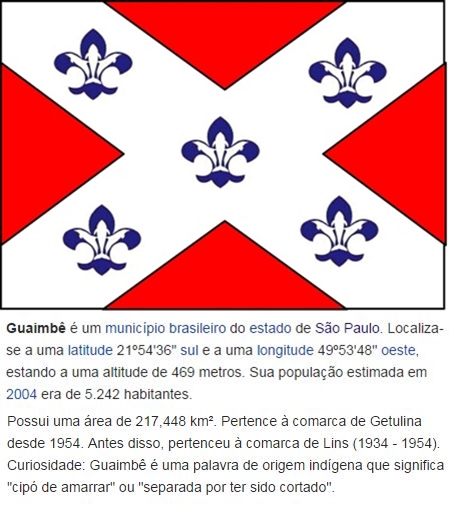 Bandeira_Guaimbê-vert
