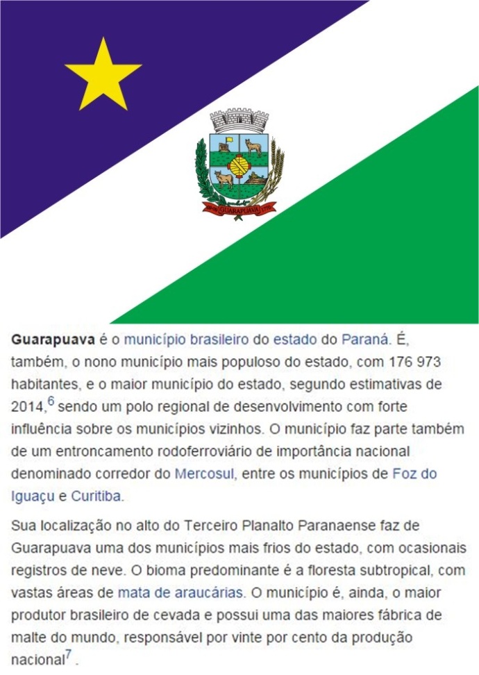 Bandeira_de_guarapuava-vert