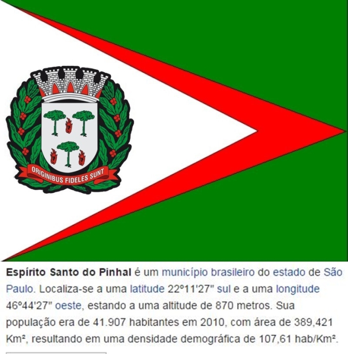 Bandeira_Espirito_Santo_do_Pinhal-vert