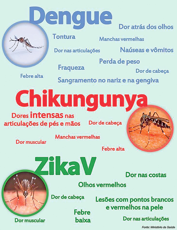 diferença-entre-dengue-e-zika