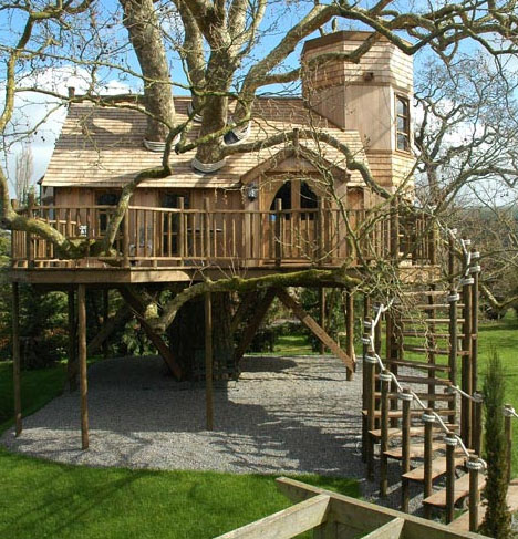 tree-house-mansion
